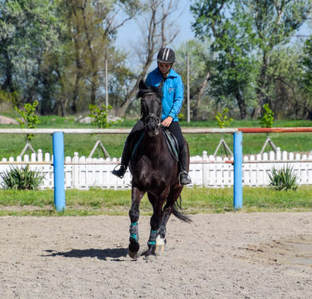 Krasnodar, Russia - April 28, 2017: Equestrian sports with teenagers. Horse Club. A girl is riding a horse.のeditorial素材