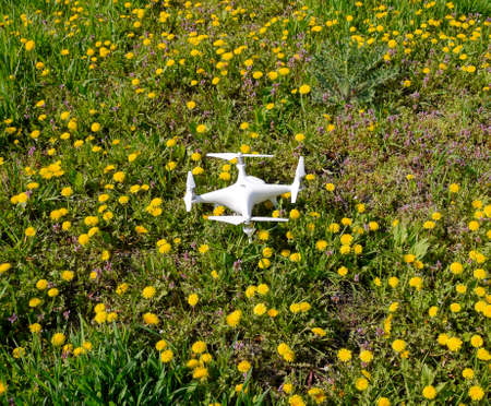 Krasnodar, Russia - April 14, 2017: Quadrocopter DJI Phantom 4 is on a clearing with dandelion flowers.のeditorial素材