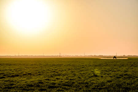 Tractor with high wheels is making fertilizer on young wheat. The use of finely dispersed spray chemicals. Tractor on the sunset background.の写真素材