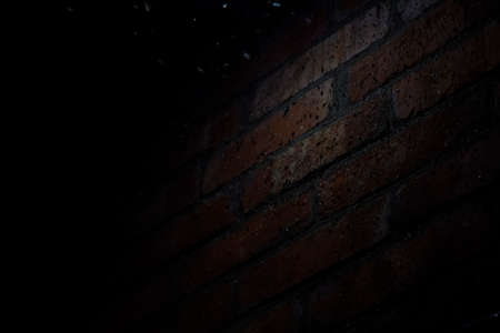 Night insects at a bulb. Attraction of insects light.の写真素材