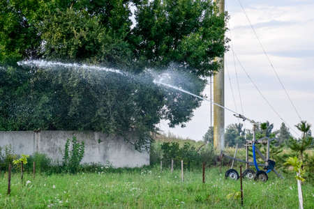 Irrigation system Watering in the garden. Watering the seedlings in the park. Watering the fields. Sprinklerの写真素材