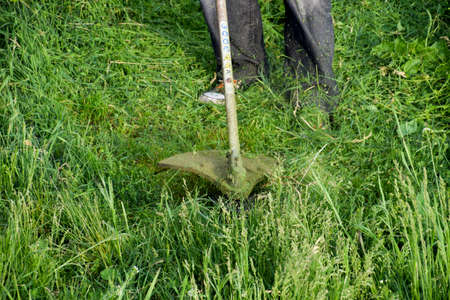 Mowing green grass using a fishing line trimmer. Application trimmers.