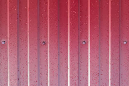 Diagonal pattern of metal profile. Fences from the galvanized iron painted by a polymeric covering.の写真素材