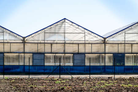 Polycarbonate greenhouses. Greenhouse complex. Greenhouses for growing vegetables under the closed ground.の写真素材