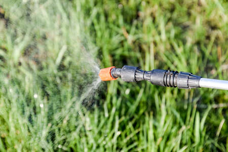 Spraying herbicide from the nozzle of the sprayer manual. Devices for processing plants in the garden.の写真素材