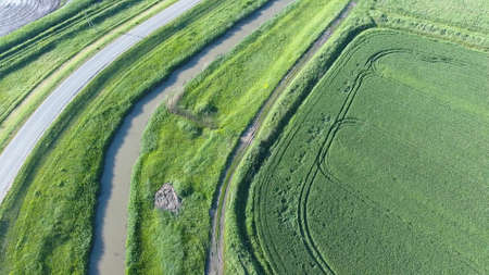 The top view of the wheat field and the channel of the irrigation system. Shooting from a droneの写真素材