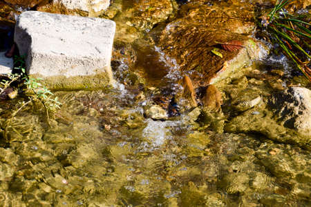 The mountain river. Shallow mountain river, water flows through the rocks. Rocks in the river water....