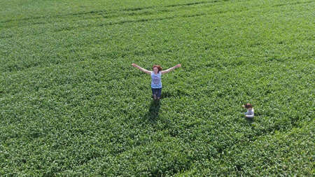 Young woman with her son playing on the field of green wheat. Walking in the open air. Video from the droneの写真素材