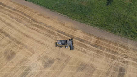 Fields of wheat and barley, the work of agricultural machinery. Harvesting barley harvesters....