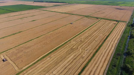 Harvesting barley harvesters. Fields of wheat and barley, the work of agricultural machinery....