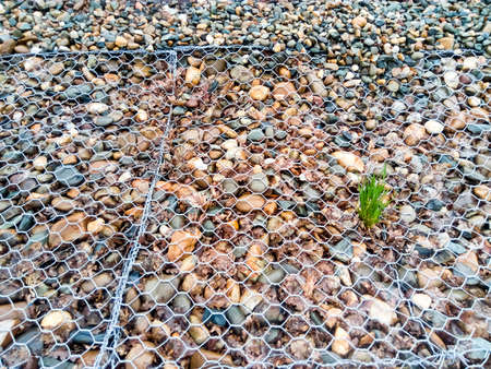Retaining net on the slope. The net keeps the pebble from scattering.の写真素材