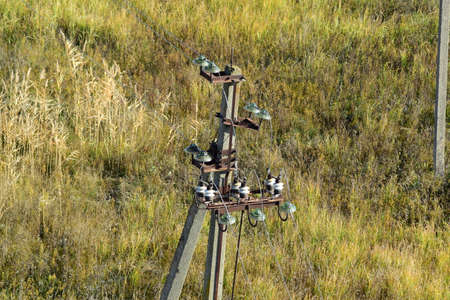 Power line post. Electrical insulating on a pole with wires