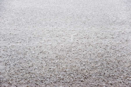 A heavy rain on the embankment of Novorossiysk. Heavy rain.の写真素材