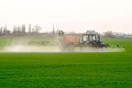 Tractor with high wheels is making fertilizer on young wheat. The use of finely dispersed spray...