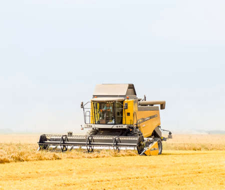 Fields near Krasnodar, Russia - July 15, 2017: Harvesting wheat with a combine harvester. Field of ripe wheat. Agricultural machinery.のeditorial素材