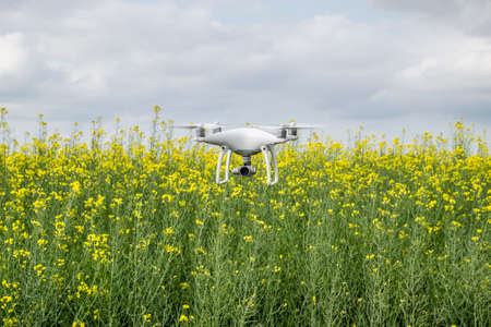 Krasnodar, Russia - May 30, 2017: White drone over the field of flowering rape. Dron against the...