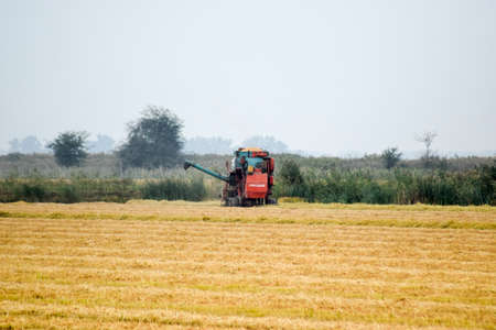 Russia, Poltavskaya village - September 27, 2017: Rice harvesting by the combine. Autumn harvesting on fields.のeditorial素材