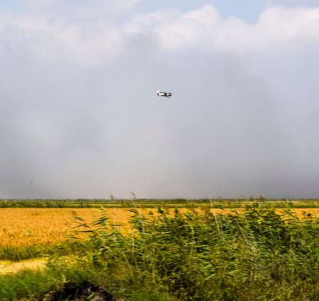 An agricultural plane flies over a field of rice. Air application of herbicides.の写真素材