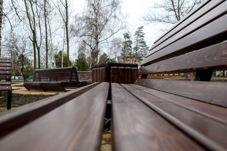 Benches in the park. Sidewalk tile in the park. Infrastructure of leisure in the park.の写真素材