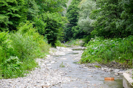Shallow mountain river with trees on the shore. Landscape of the river.