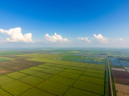 The rice fields are flooded with water. Flooded rice paddies. Agronomic methods of growing rice in the fields. Flooding the fields with water in which rice sown. View from above.の写真素材