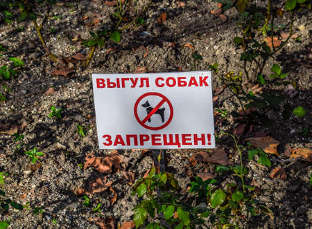Plate: Dog walking is prohibited. In Russianの写真素材