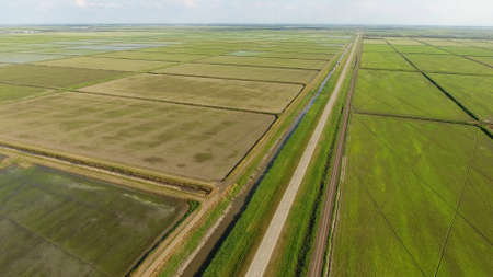 Growing rice on flooded fields. Ripe rice in the field, the beginning of harvesting. A birds-eye view. Flooded rice paddies. Agronomic methods of growing rice in the fields. Flooding the fields with water in which rice sown.の写真素材