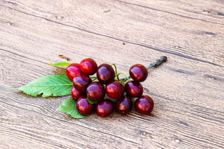 Berries of sweet cherry with a twig and leaves. Ripe red sweet cherry.