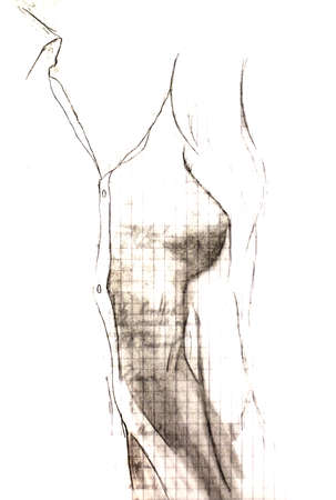 Part of the womans body, tit and nipple. Part of the torso. Drawing on a tetrad sheet in a cell. Figure karandash.の写真素材