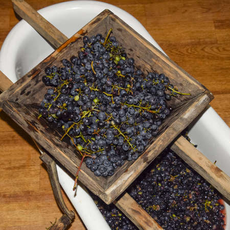 Manual mechanism for crushing grapes. Crush the grapes into juice and wine.の写真素材