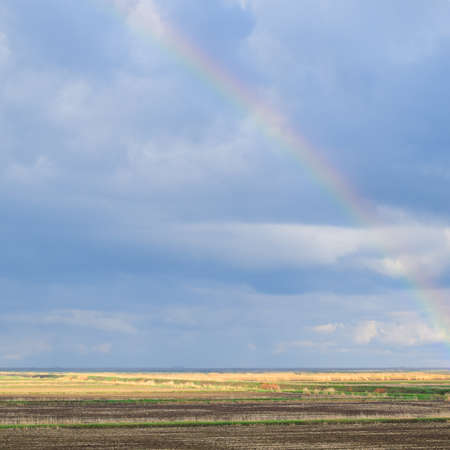 Rainbow, a view of the landscape in the field. Formation of the rainbow after the rain. Refraction of light and expansion in terms of spectra.の写真素材