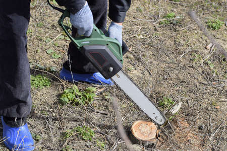 A man cut down an electric saw. The stump of saw cut branches.