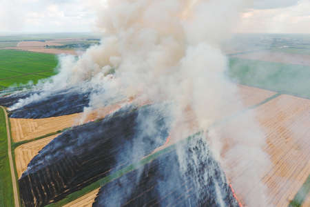 Burning straw in the fields of wheat after harvesting. The pollution of the atmosphere with smoke.の写真素材