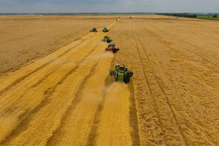 Krasnodar, Russia - July 22, 2017: Harvesting wheat harvester. Agricultural machines harvest grain on the field. Agricultural machinery in operation.のeditorial素材