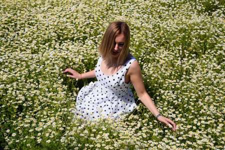 A woman in a white dress with polka dots is on a glade with daisies. Blooming daisies in the field.の写真素材