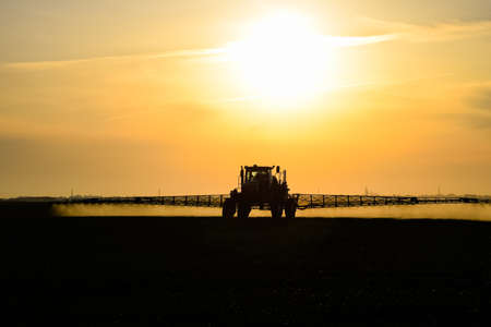 Tractor with the help of a sprayer sprays liquid fertilizers on young wheat in the field. The use of...