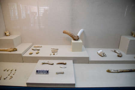 Antalya, Turkey - May 19, 2019: Exhibits of the Antalya Museum of Antiquities, stone scrapers and knives and pottery.のeditorial素材