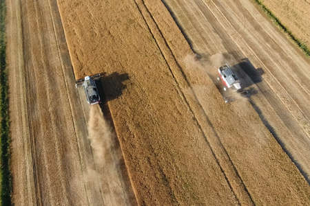 Combine harvester harvest barley. Strada on the fieldの写真素材