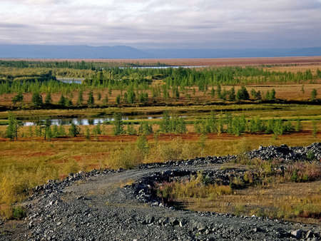 Scattered road in the forest-tundra. Autumn in the forest-tundra. Autumn forest. The leaves of the grass and the trees turned yellow and turned red. Autumn landscapeの写真素材