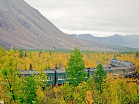 The passenger train travels through the forest. Railway through the forestの写真素材