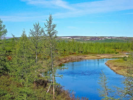 River landscape. Northern deer in summer forest. The sky, green trees and a river with brown waterの写真素材