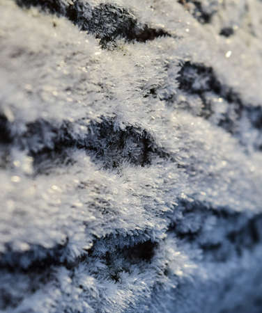 Hoarfrost on tree trunk surface. Winter morning dew and freezing.の写真素材