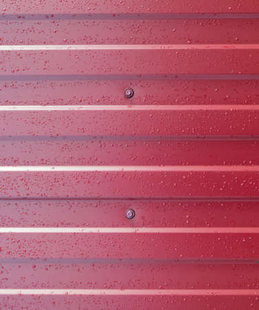 Diagonal pattern of metal profile. Fences from the galvanized iron painted by a polymeric covering.の写真素材