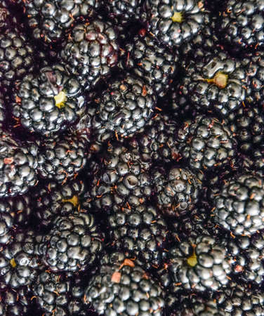 Plate with berries black blackberries. Fruits berries on the table.