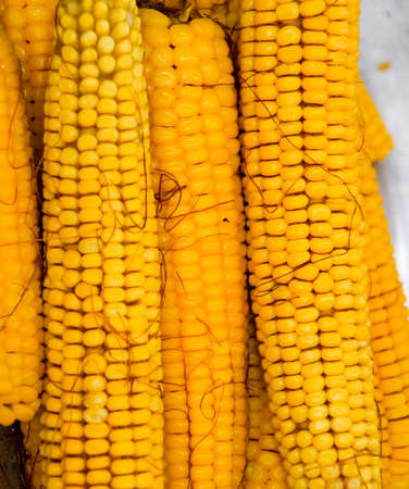 Boiled corn on an aluminum tray. Corn near. Closeup of corn. Yellow boiled young corn, useful and tasty foodの写真素材