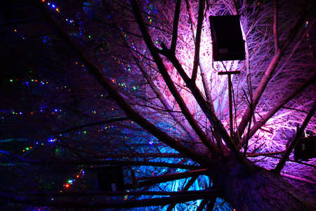 Lighting the Christmas tree inside. Night Christmas toys. Dressed Christmas tree on the street.