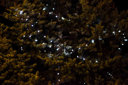 Night Christmas toys. Dressed Christmas tree on the street.の写真素材