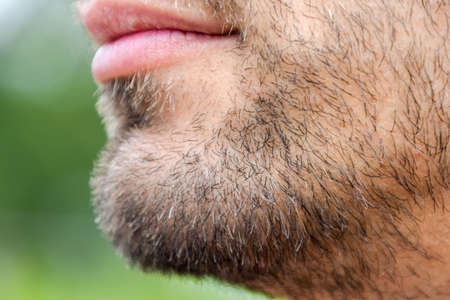 Beard on the face of a young man. bearded male chin. Bearded young man, stubble near. Unshaven more...