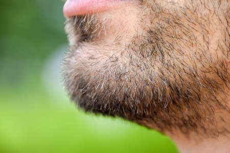 Beard on the face of a young man. bearded male chin. Bearded young man, stubble near. Unshaven more than a week. Hair on the face of a man, a short beard.の写真素材