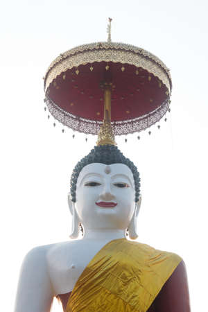 Big Buddha on white backgroundの写真素材